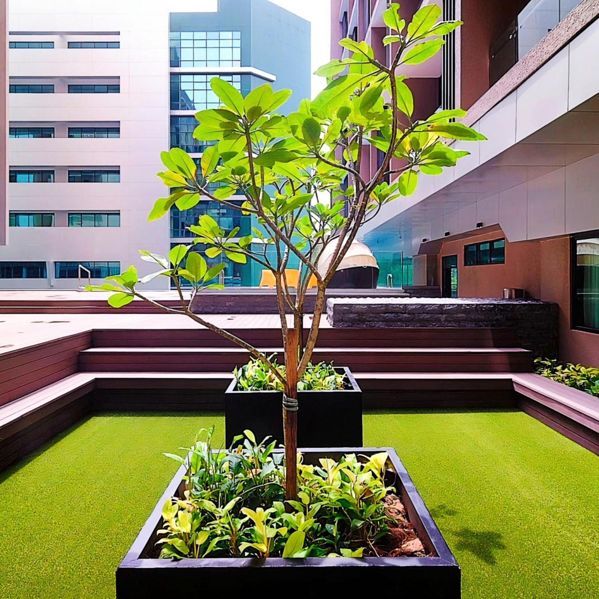 D'Casa Riverson At Kota Kinabalu Exteriör bild